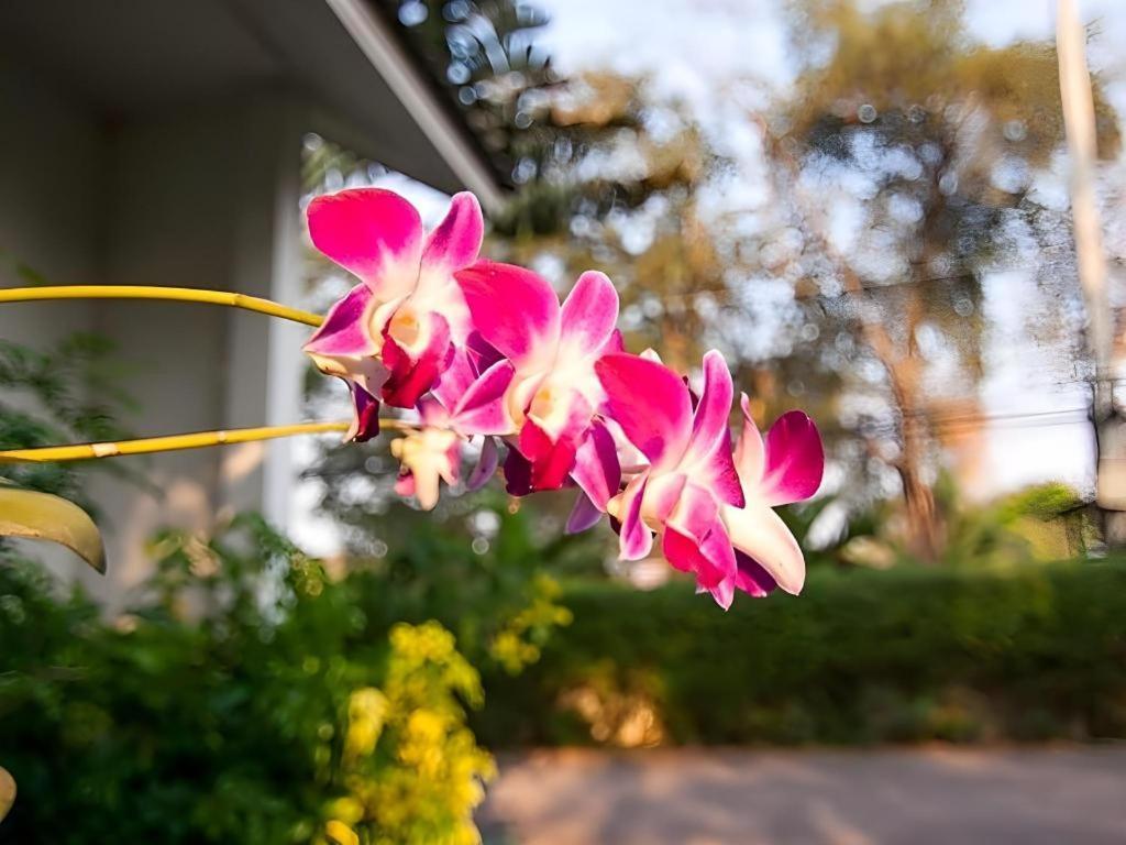 Chayada Garden House And Resort Hotel Nakhonratchasima Εξωτερικό φωτογραφία